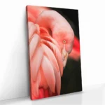 "Side Veil" – Bild 2