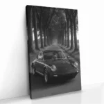 "Treeline Porsche" – Bild 2