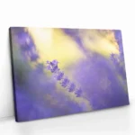 "Violet Frequency" – Bild 2