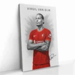 "Virgil van Dijk II" – Bild 2
