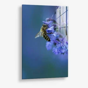 Blue Range Work – Glas