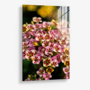 Crimson Ratio – Glas