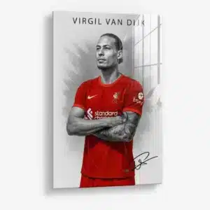 Virgil van Dijk II – Glas