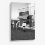 Prada Texas – Glas 40x60 cm / Ohne Rahmen