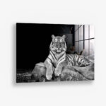 White Tiger – Glas 100x150 cm / Ohne Rahmen