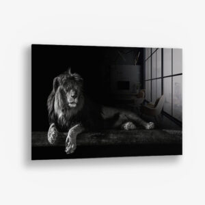 Horizontal Lion – Glas 80x120 cm / Ohne Rahmen