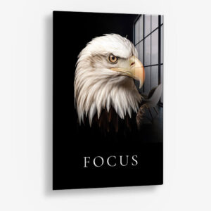 Focus – Glas 40x60 cm / Ohne Rahmen