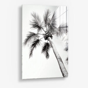 Beachy Palm - Glas 80x120 cm / Ohne Rahmen