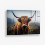 The Muscox – Glas 100x150 cm / Ohne Rahmen