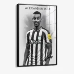Alexander Isak – Glas – Bild 2