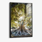 Anchorlight – Glas – Bild 2