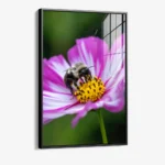 Flarepoint – Glas – Bild 2