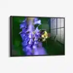 Purple Run – Glas – Bild 2