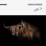 Highlander – Glas 60x90 cm / Ohne Rahmen – Bild 3