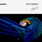 The Parrot – Glas 100x150 cm / Ohne Rahmen – Bild 3