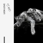 Lion Love – Glas 80x120 cm / Ohne Rahmen – Bild 3