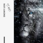 Snowy Lion - glass 100x150 cm / Ohne Rahmen – Bild 3