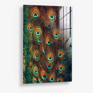 Peacock Feathers – Glas 100x150 cm / Ohne Rahmen