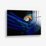 The Parrot – Glas 100x150 cm / Ohne Rahmen