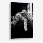 Lion Love – Glas 80x120 cm / Ohne Rahmen