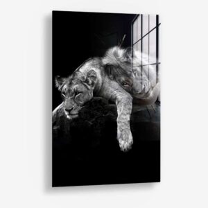 Lion Love – Glas 80x120 cm / Ohne Rahmen