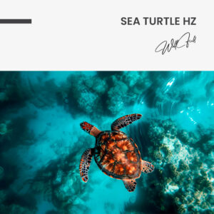 11.-Design-signature-Sea-Turtle-HZ.jpg