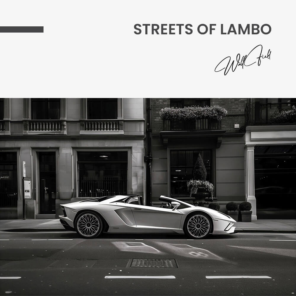 11.-Design-signature-Streets-of-Lambo.jpg