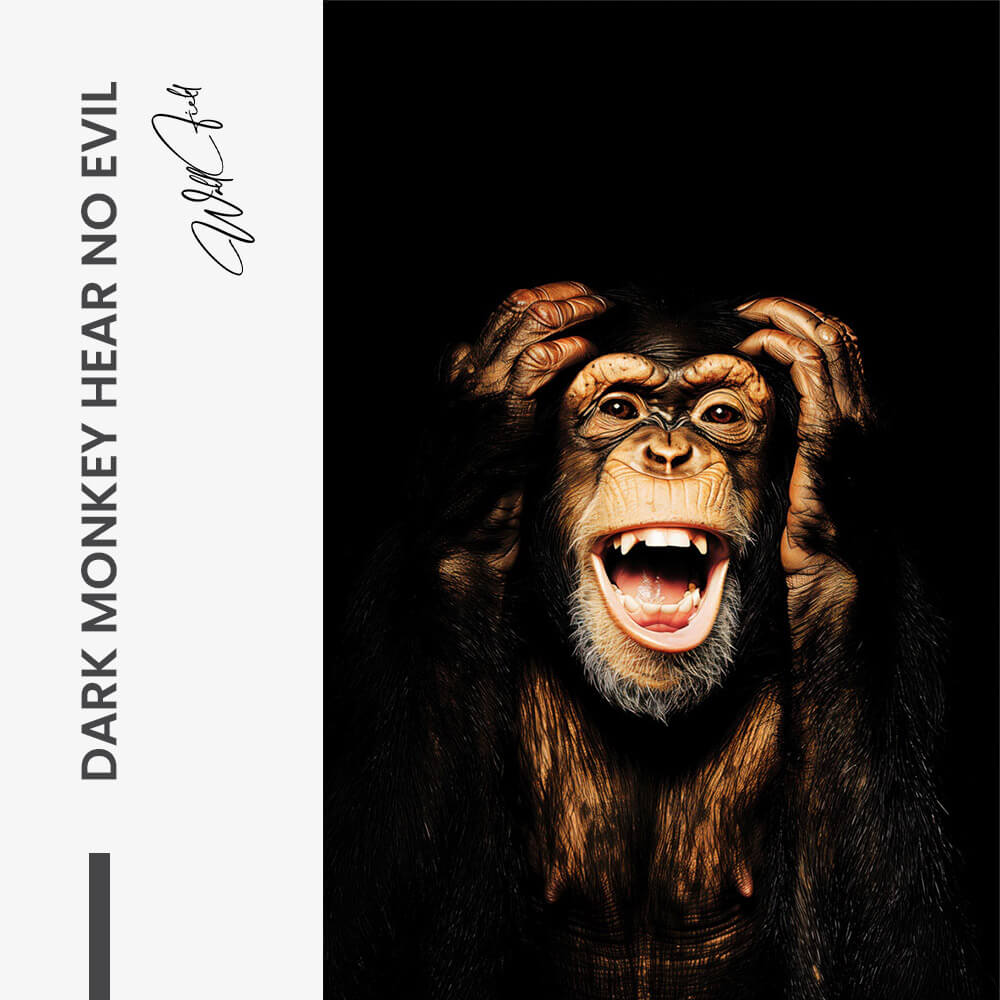 11.-Design-signature-Dark-Monkey-Hear-no-Evil.jpg