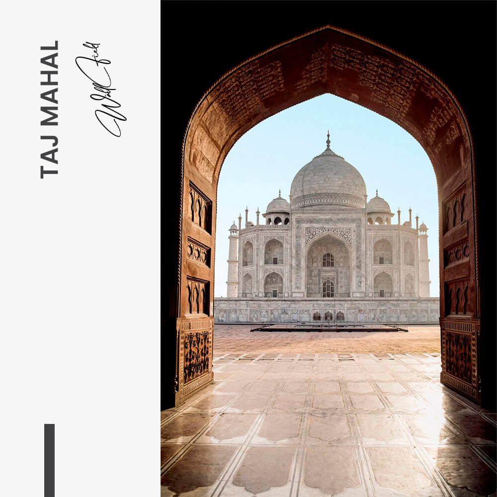 11.-Design-signature-Taj-Mahal.jpg