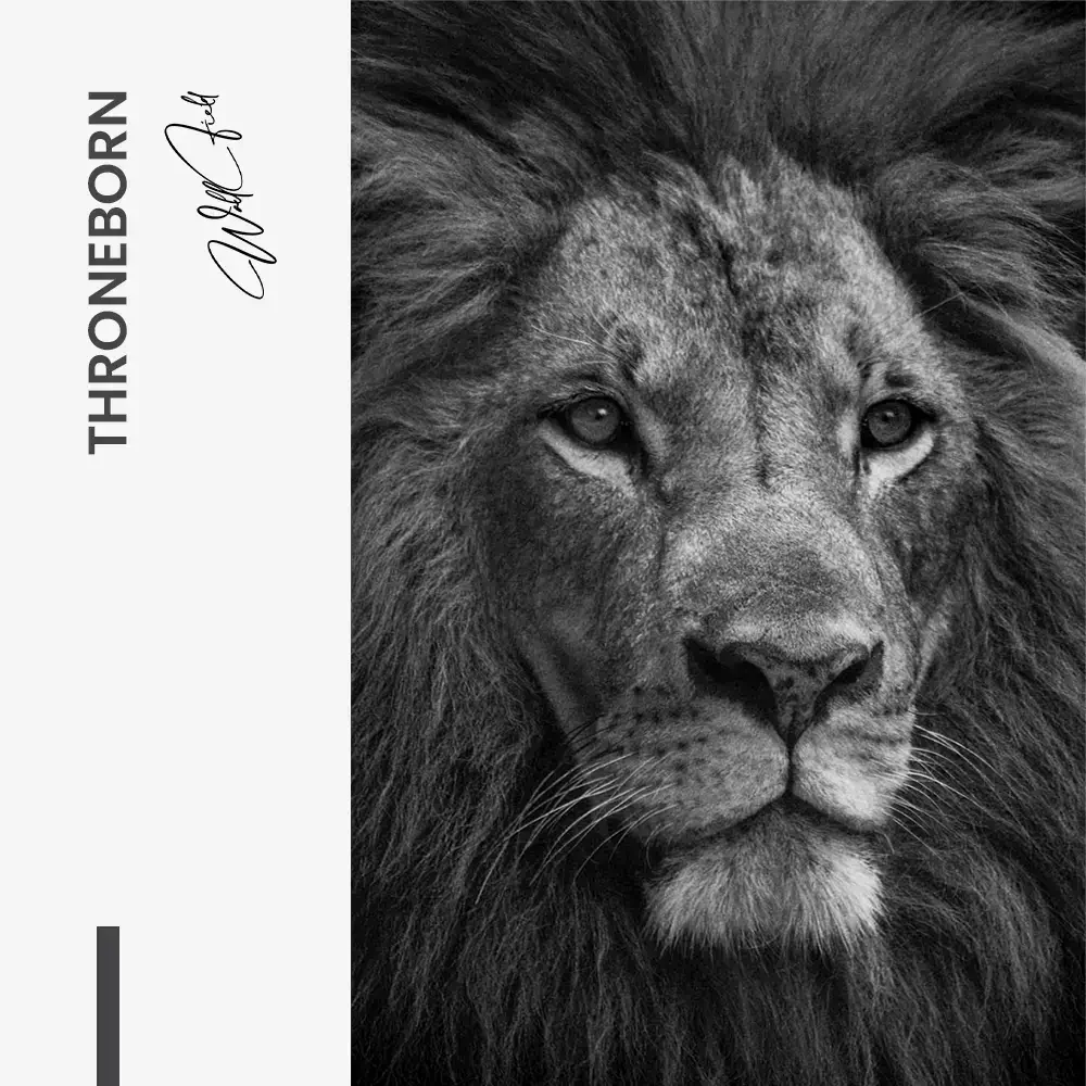 11.-Design-signature-Throneborn.webp