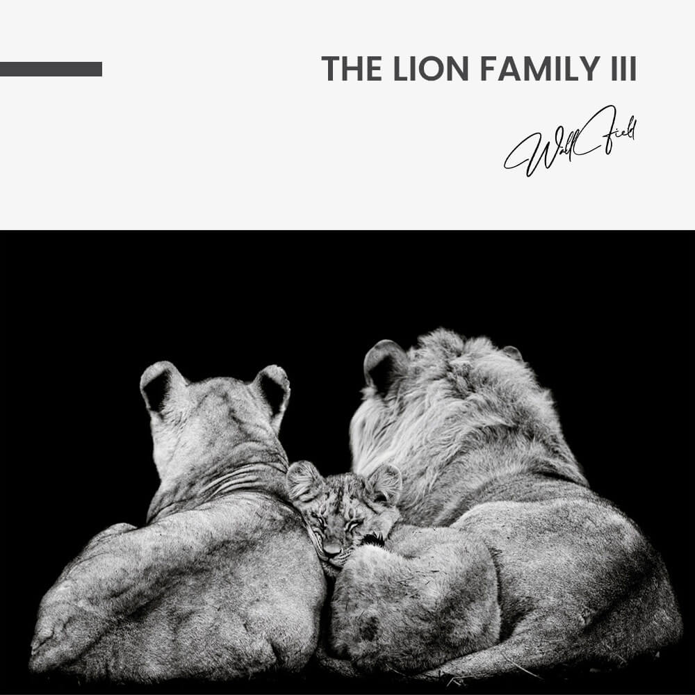 7.-Design-signature-The-Lion-Family-III.jpg
